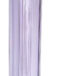 Transparent 20 inch filter house - 1 inch in & out