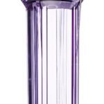 Transparent 10 Inch Filter Housing – 1/2 Inch In & Out